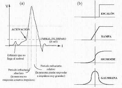 neuro2.jpg